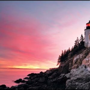 Meet your Posher, Anishka